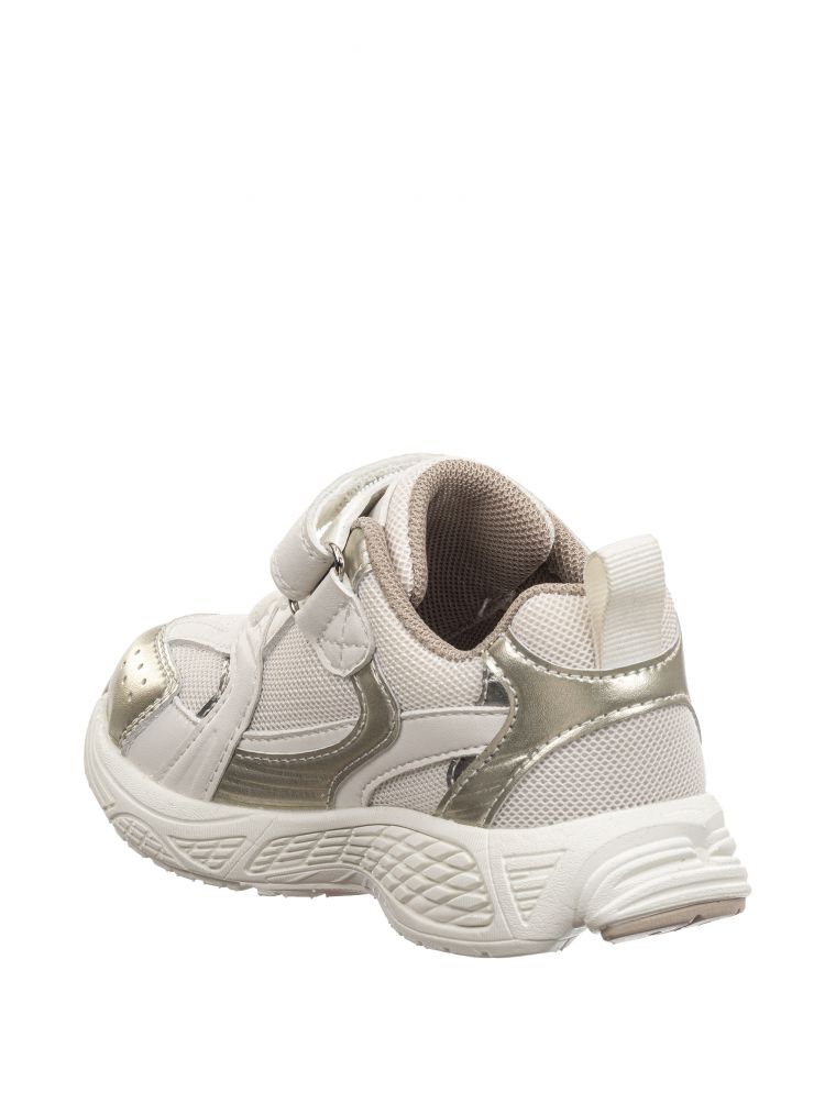 האבאנה סקוץ’