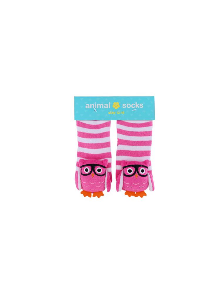 זוג גרבי בית- ינשוף