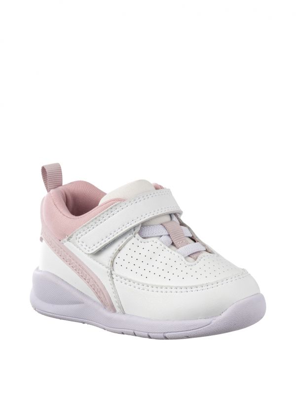 ספורטיפיי בסקט