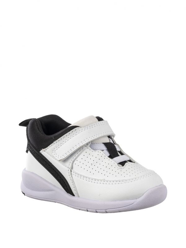 ספורטיפיי בסקט