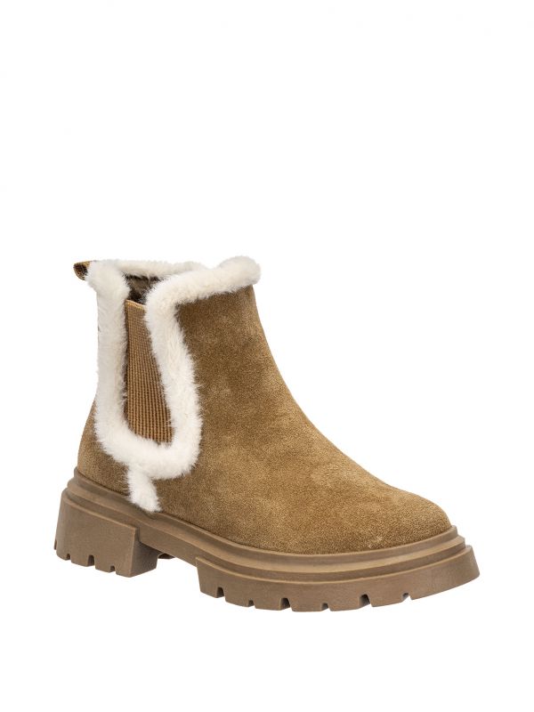 זינה צ’לסי