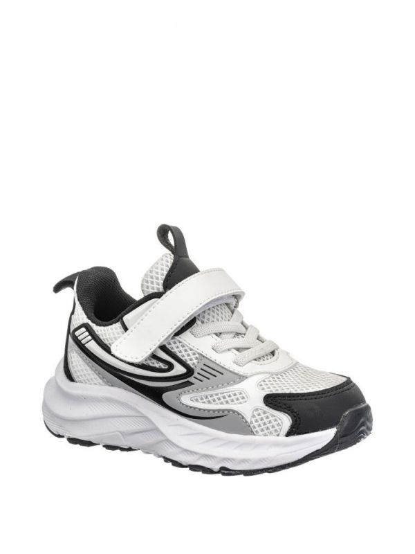 אשטון סקוץ’