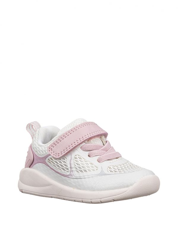 ספורטיפי רשת