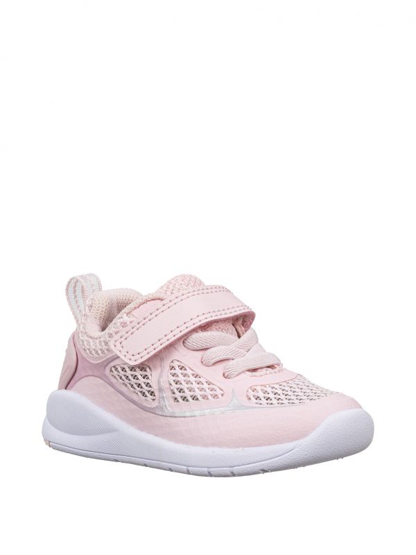 ספורטיפי רשת