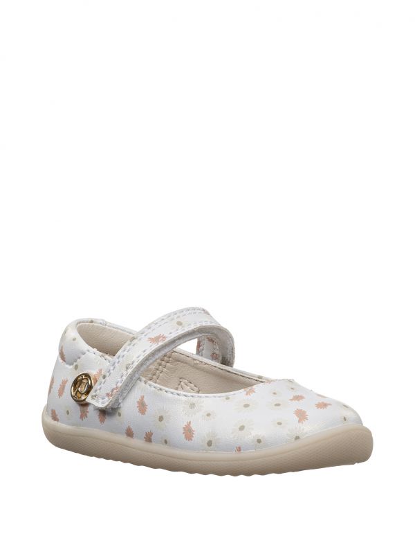 ווילי בובה חגיגית